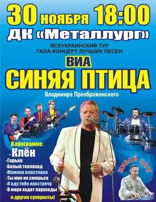 Виа синяя птица – красивая птица на вашем экране в png формате