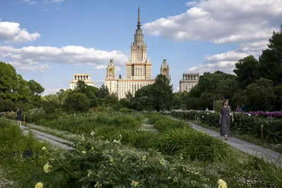 Фото ночного города с Воробьевых гор: красивое изображение на рабочий стол