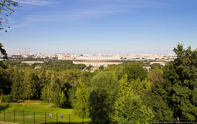 Фотография Воробьевых гор под луной: бесплатные обои на андроид в Full HD