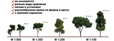 Потрясающие виды деревьев на фотографиях: скачивайте в хорошем качестве бесплатно