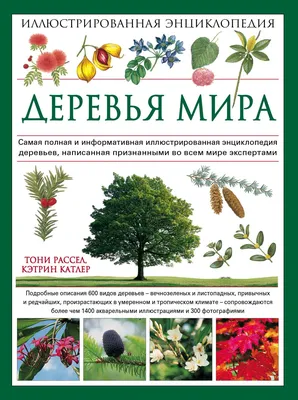 На ветру и на солнце: фото деревьев в живописном окружении