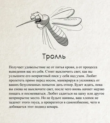 Новые виды комаров: изображения для скачивания