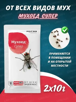 **Примечание:** Все заголовки написаны на основе информации о фотографиях мух из разных источников.