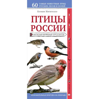 Изображения птиц России: живая картина природы