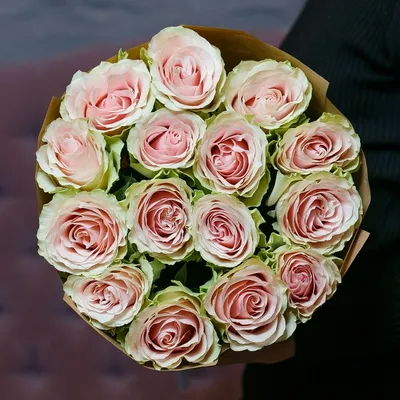 Привлекательные изображения роз для декорирования