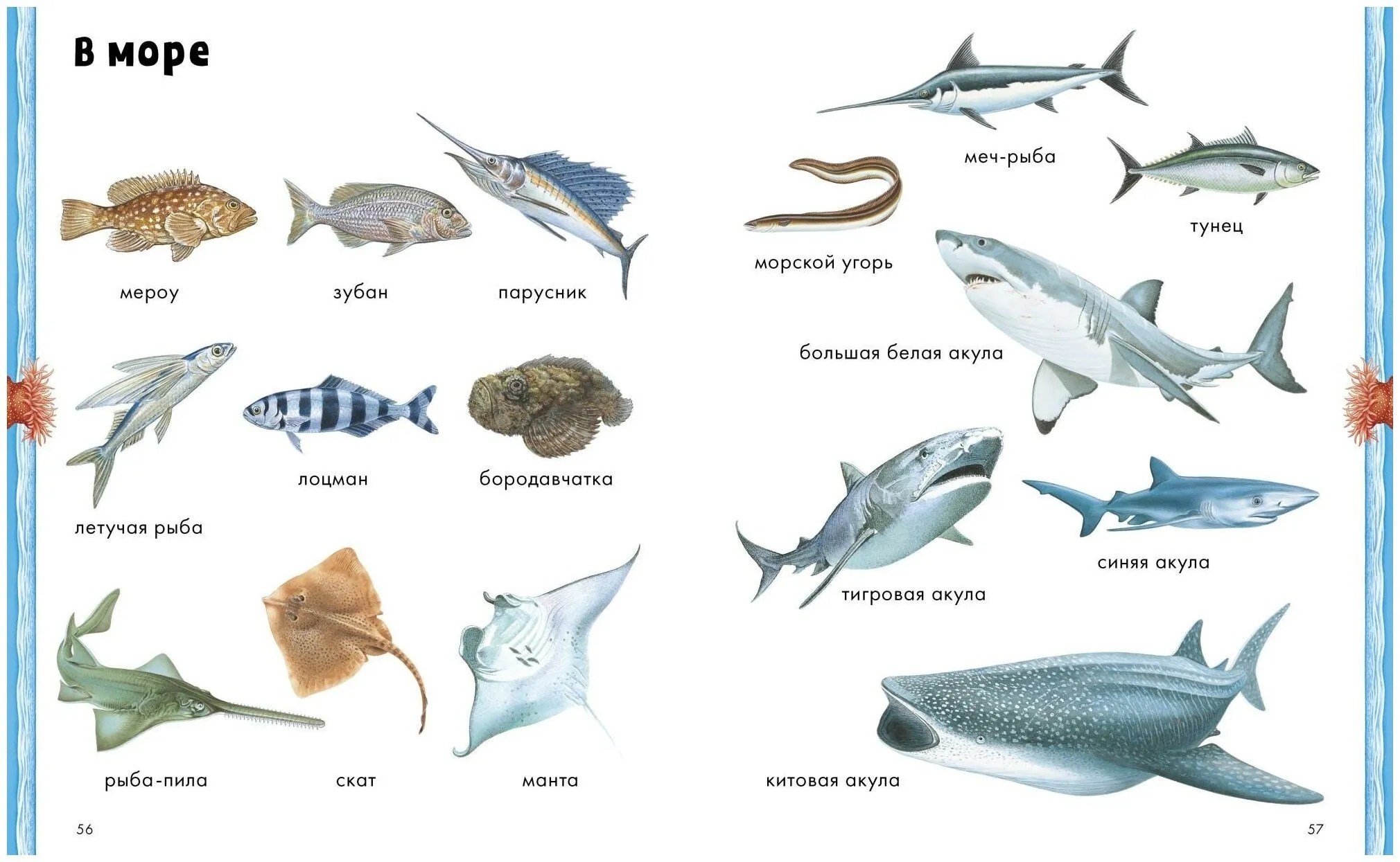 Что бывает морским. Промысловые рыбы Баренцева моря. Рыбы Пресноводные и морские для детей. Морские и речные обитатели. Морские рыбки.
