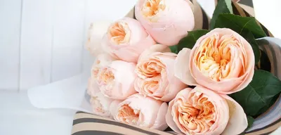 Фото прекрасной коллекции садовых роз