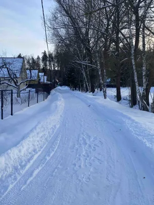 Зимние радости: Коллекция фото в высоком качестве