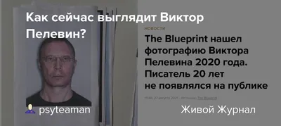 Изображение Виктора Пелевина в профессиональном качестве