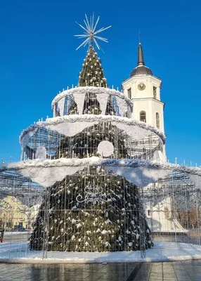 Вильнюс зимой: Замороженная красота в формате JPG
