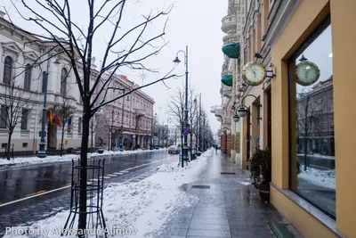 Вильнюс зимой: Изысканные моменты в формате WebP
