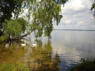 Впечатляющие фотографии Виштынецкого озера в формате 4K