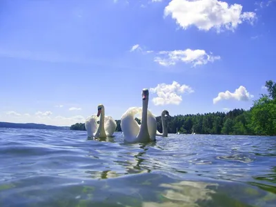 Загадочные красоты Виштынецкого озера на фотографиях