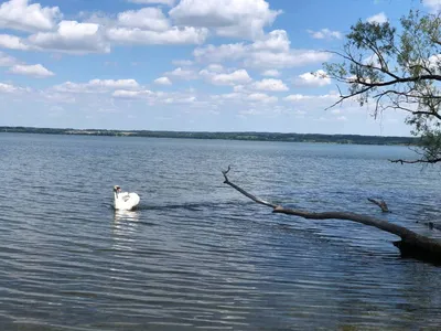 Восхитительные отражения Виштынецкого озера на фото