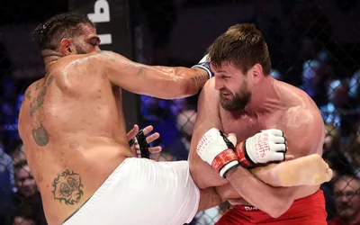 Качественные изображения Виталия Минакова: бойцы UFC