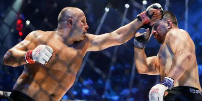 Изображения Виталия Минакова: бокс / MMA / UFC