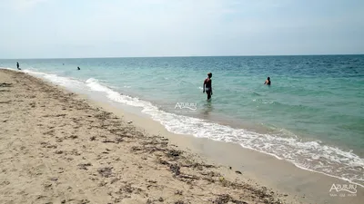 Фото Витино пляжа - лучшие моменты