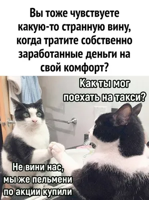 Уникальные смешные картинки, которые вас удивят