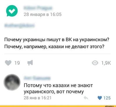 Смешные изображения для вконтакте: 115 картинок