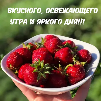 Фотографии, чтобы вас захватить и увлечь в мир вкусов