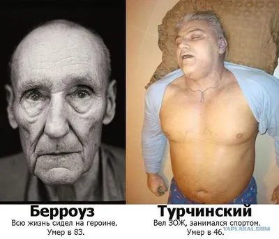 Фотографии Владимира Турчинского в формате WebP: стильно и современно