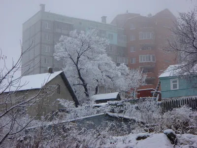 Зимние чудеса Владивостока: скачай красивые фотографии!