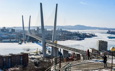 Зимний фотоальбом города Владивостока: скачай в любом формате!