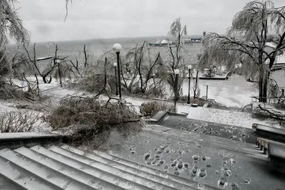 Фото Владивостока в хрустальном наряде: выбери формат и размер!