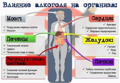 Влияние алкоголя на организм человека фотографии