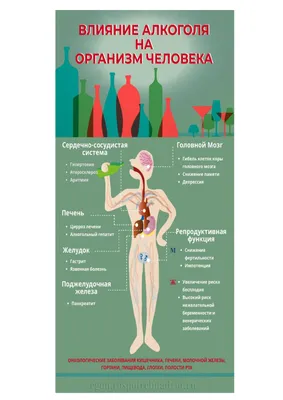 Алкоголь и нарушения в работе центральной нервной системы: Картинка с возможностью скачивания в JPG, PNG, WebP
