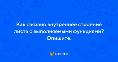 Фото, показывающее уникальные особенности внутреннего строения листа