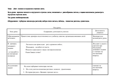 Удивительные детали внутреннего строения листа: фото и уникальные особенности