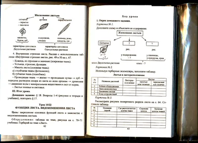 Лист в хорошем качестве