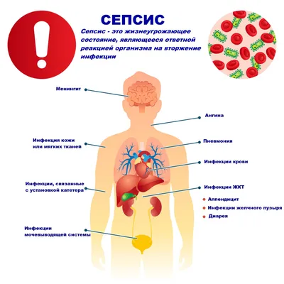 33. Внутренняя гармония: Фото человека в различных форматах