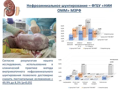 Начало Чуда: Изображения Различных Фаз Внутриутробного Этапа