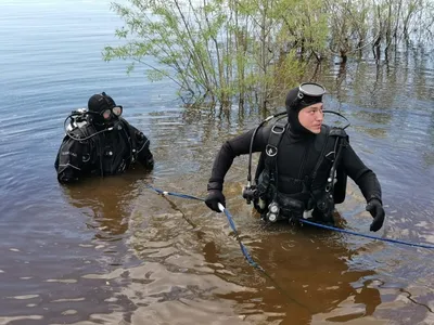 Плавный водолаз: Изображения с возможностью выбора размера и формата