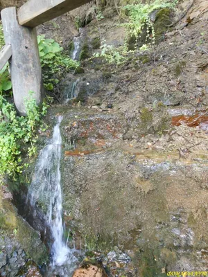 Арт водопада Гремячий - магия цветов и форм