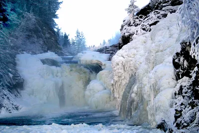 Ледяные каскады: Водопад Кивач зимой на ваших фото