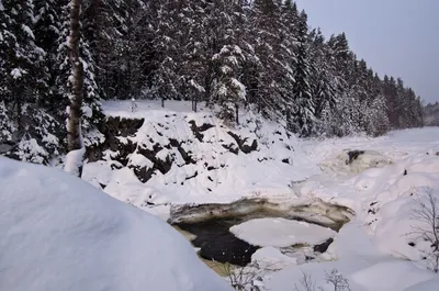 Зимнее волшебство Водопада Кивач: Снимки в разрешении на выбор
