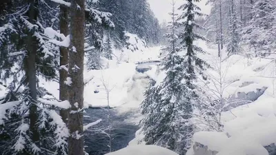 Ледяные зарисовки: Водопад Кивач зимой на ваших экранах