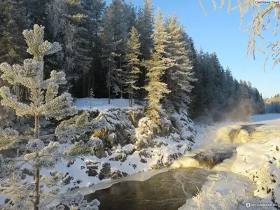 Водопад Кивач зимой: Украшение природы в каждом пикселе