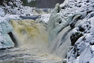Фотографии Водопада Кивач зимой: Снежные акценты в разрешении