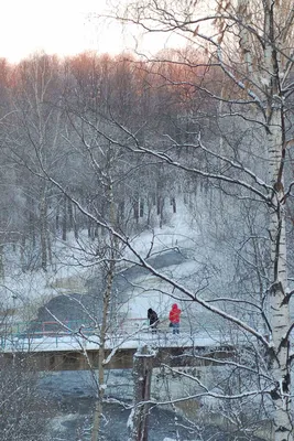Зимний Водопад Кивач: Фото с выбором размера и формата