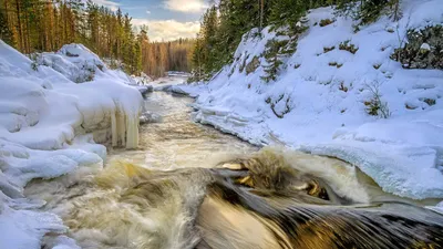 Фотографии Водопада Кивач в зимнем убранстве: Загрузите свой формат