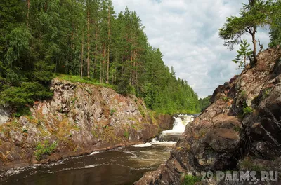 Живописный Водопад Кивач на снимке: прекрасное природное творение