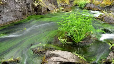 Фото водопада Кивач для андроид: скачивайте бесплатно в хорошем качестве