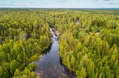 Очарование водной стихии: Кивач в объятиях природы 