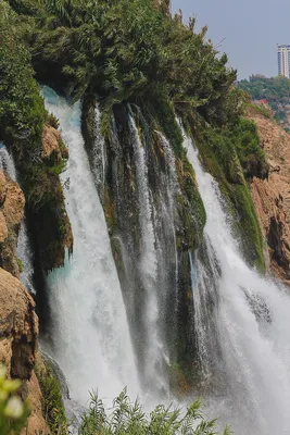 Картинка куршунлу для фотоальбома