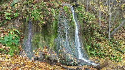 Уникальный Водопад радужный: бесплатные фотографии высокого разрешения