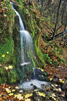 Экзотическое явление: Водопад с невероятным радужным эффектом (фото)